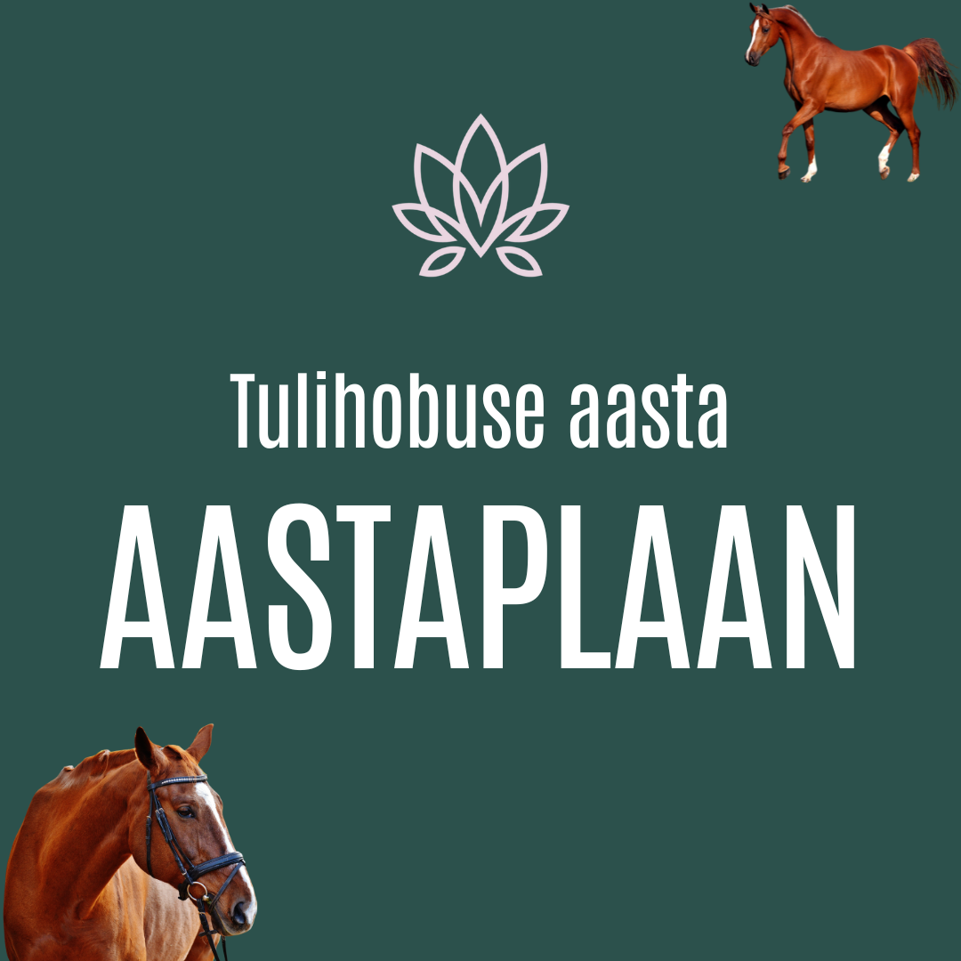 Monthly Forecast for the Year of the Horse