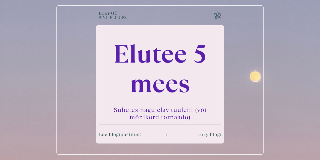 Life Path 5 Man, A Breeze in Love (or Sometimes a Tornado)